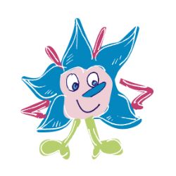 box-jardinage-graines-bourrache faire pousser de la bourrache